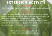 EXTENSION ACTIVITY
