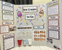 Ice Cream To Go (Poster Board)